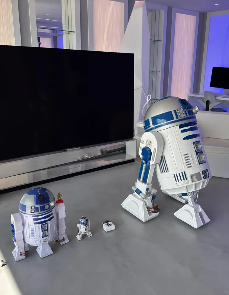 eBay buyer 0***n – Remote Controlled · Fully Finished