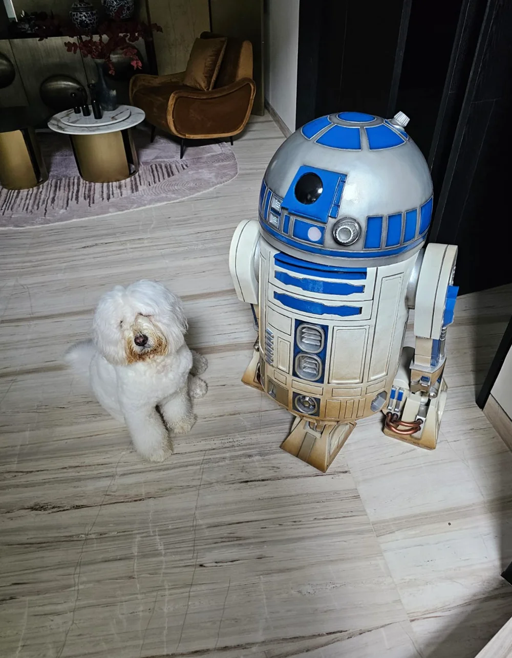 Life-size R2-D2 by Blight Studios at a collector’s home